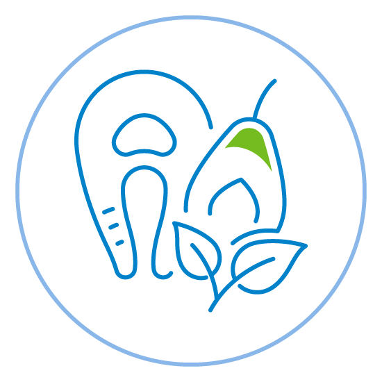 Food and Environmental icon